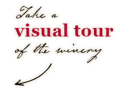 Take a Visual Tour